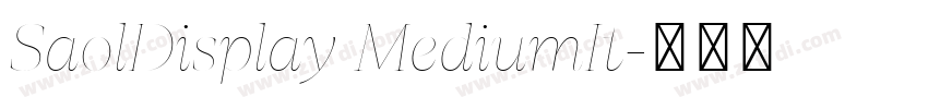 SaolDisplay MediumIt字体转换